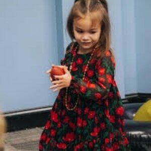 NWT CARTERS Child of Mine Long Sleeve Chiffon Petticoat Dress Black\Red 2T